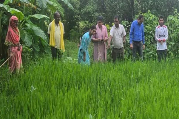 हरे धान के खेत में फसल का निरीक्षण करते कृषि अधिकारी और ग्रामीण